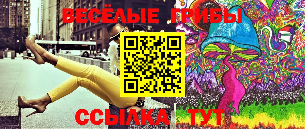 Псилоцибиновые грибы Psilocybe  Вход с VPN  Карачаевск 